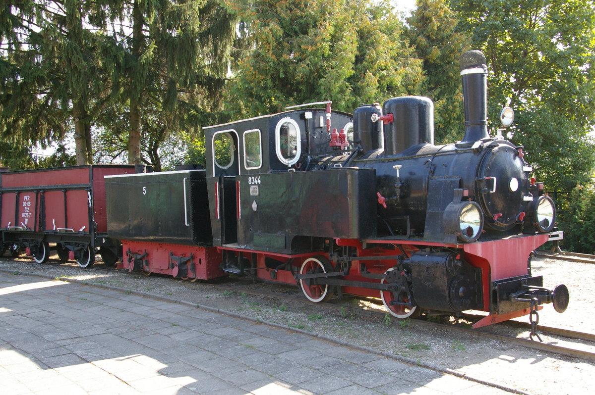 Eine 1960 im LKM Babelsberg gebaute Lok B-n2t (Fabr.-Nr. 16028) - eine der letzten, da 1960 der Dampflokbau eingestellt wurde! LKM ist nach dem 2.WK in der DDR aus dem Ex-Betrieb Orenstein&Koppel entstanden. 