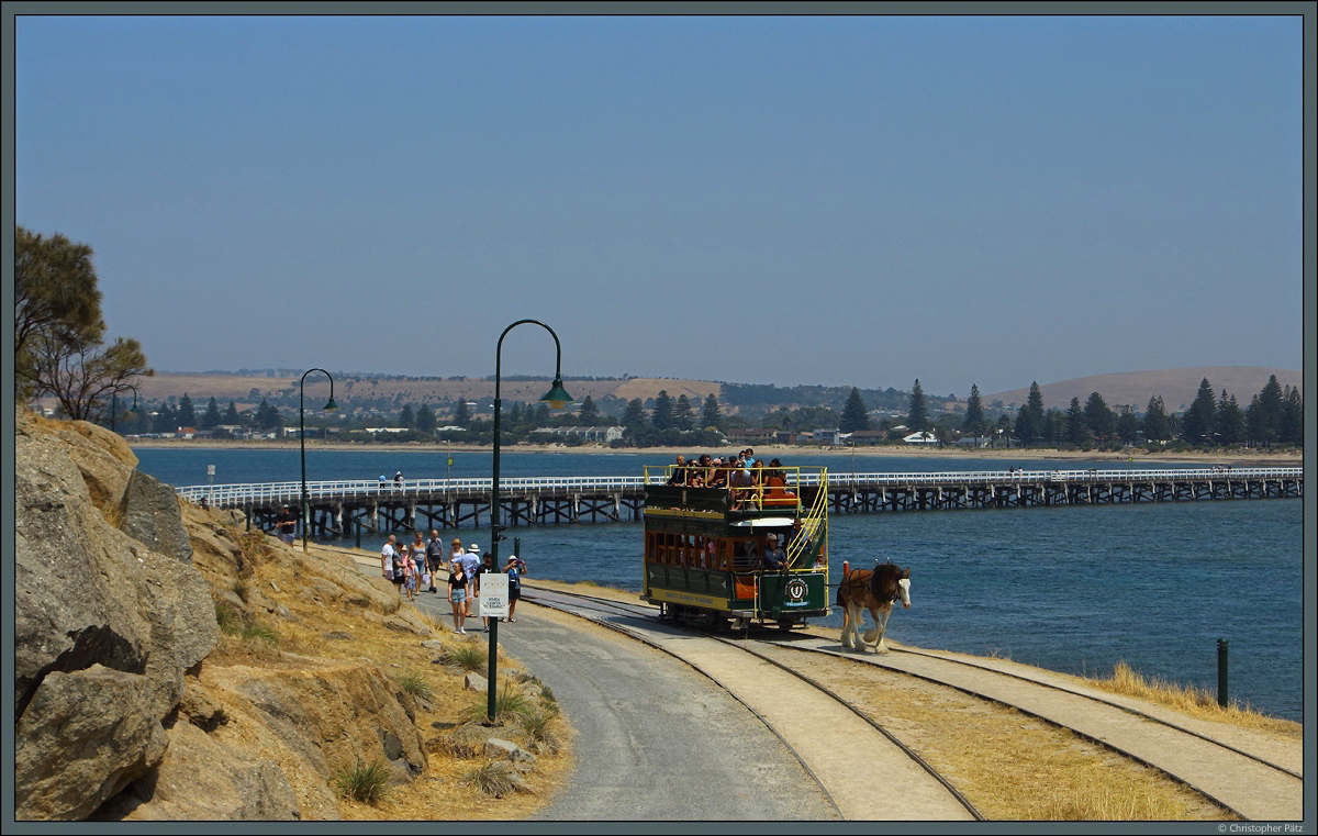 Eine 630 m lange hölzerne Seebrücke verbindet Granite Island mit Victor Harbor. Über sie führt auch die Pferdestraßenbahn Victor Harbor. Hier ist Wagen 1 an der Ausweichstelle zu sehen. (08.01.2020)