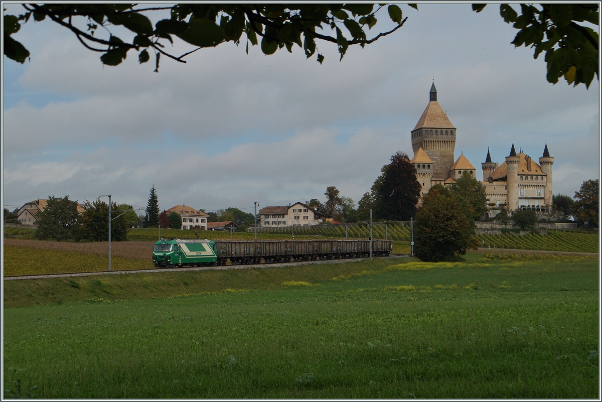 Eine BAM Ge 4/4 zieht ihren Rübenzug bei Vufflens le Château Richtung Morges.
15. Okt. 2014
