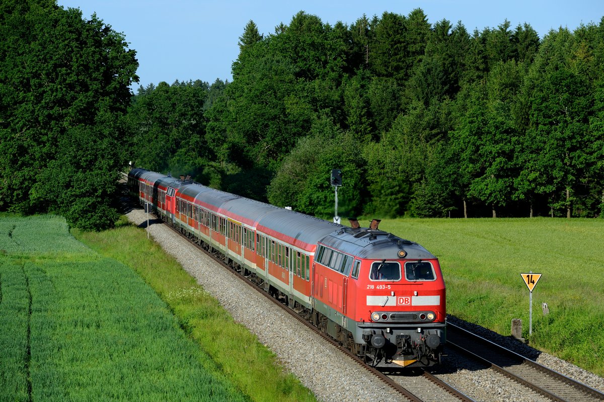Eine betriebliche Besonderheit gibt es von Montag bis Freitag bei RE 57514 nach Füssen zu beobachten: Bis Kaufbeuren läuft der Zug mit RB 57452 nach Kempten vereint, bestehend aus zwei Wendezuggarnituren. Auch die 218 in der Zugmitte arbeitet. Am 06. Juni 2014 war 218 493 Zuglok und konnte bei Holzhausen mit dieser interessanten Leistung fotografiert werden.
