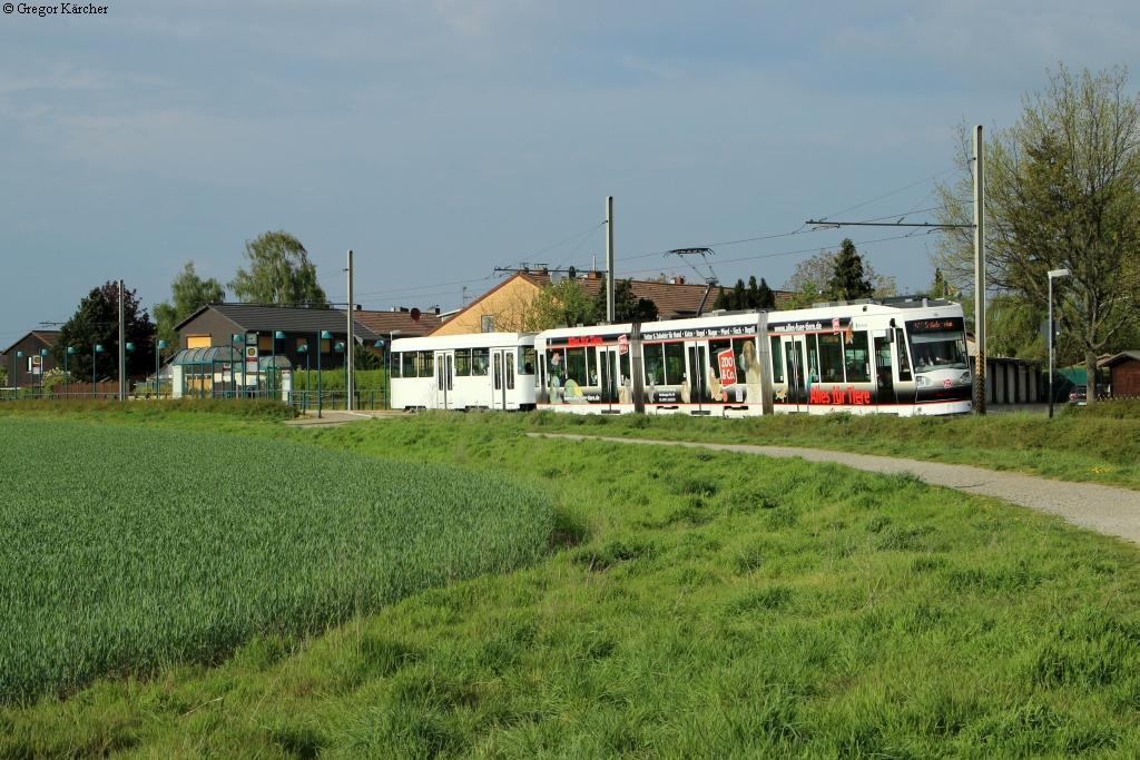 Eine Braunschweiger Straßenbahn mit Beiwagen in Braunschweig-Geipelstraße, 22.04.2014.