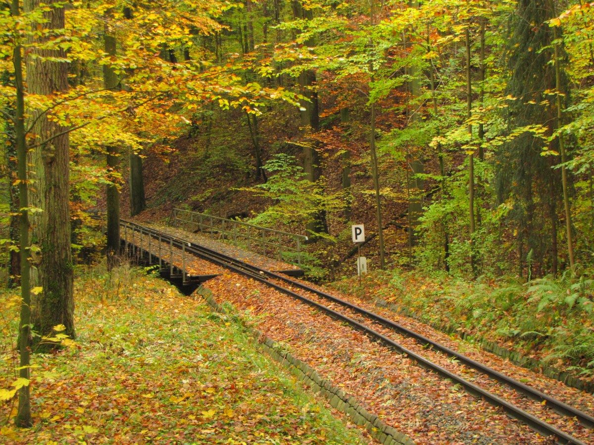 Eine Brücke zwischen den Bahnhöfen Wolfsgehege und Martinsgrund am 22.10.2015.