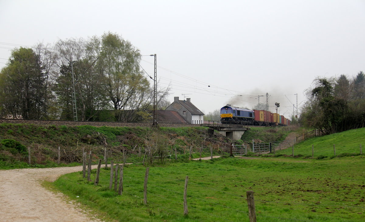 Eine Class 66 PB13 von Beacon-Rail kommt mit viel Dieselpower die Gemmenicher-Rampe hochgefahren aus Richtung Aachen-West mit einem langen MSC-Containerzug aus Germersheim(D) nach Antwerpen-Krommenhoek(B) und fährt gleich in den Gemmenicher-Tunnel hinein.
Aufgenommen von einem Weg in Reinartzkehl. 
Am Nachmittag vom 9.4.2019. 