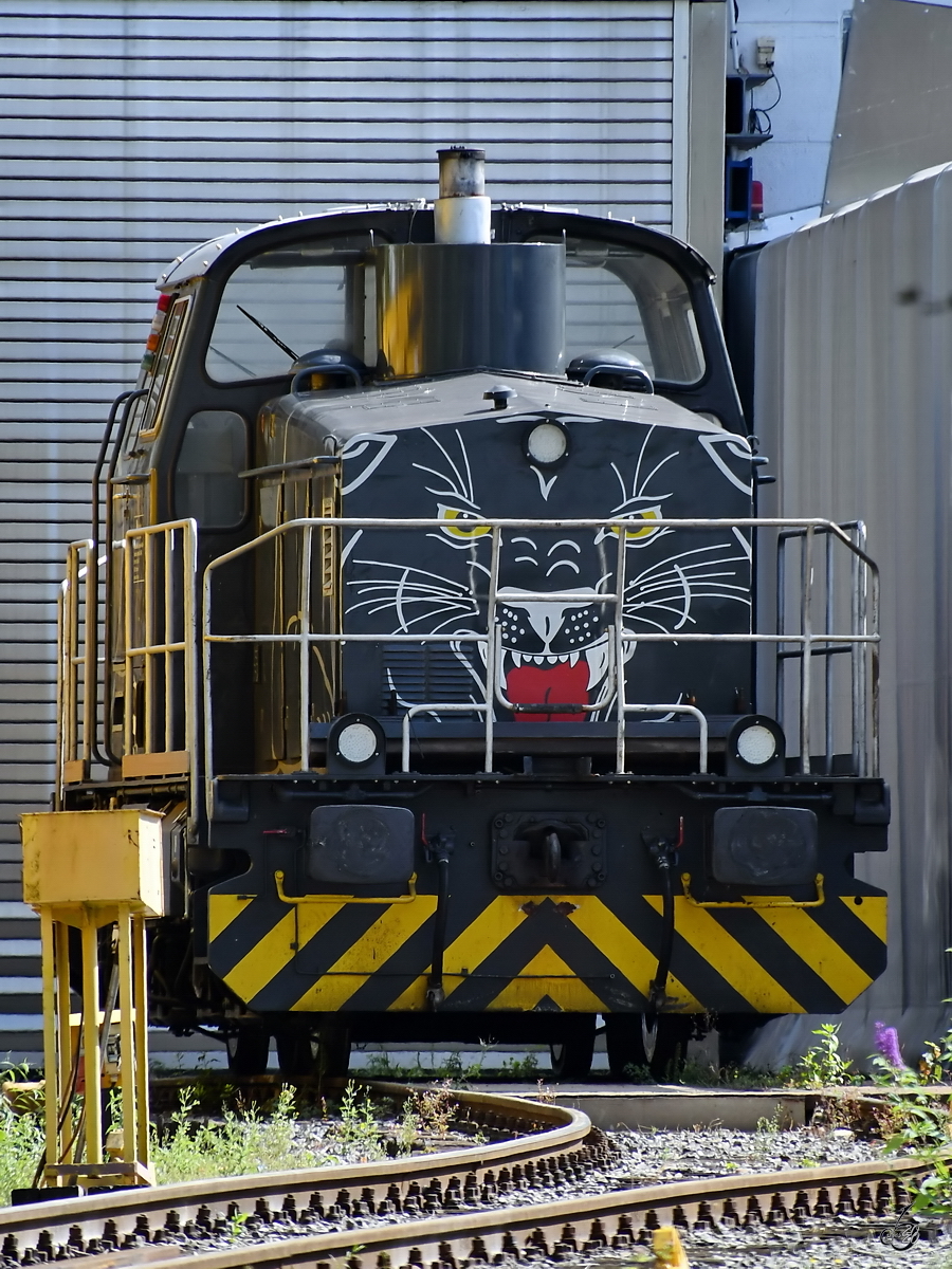 Eine Diesellokomotive im Raubtierkleid stand Anfang September 2019 auf dem Gelände der Westfälische Lokomotiv Fabrik Karl Reuschling Hattingen.
