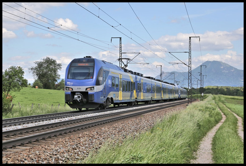 Eine Doppel Einheit der BRB mit vorn ET 310 ist hier bei Ainring am 27.5.2022 um 15.35 Uhr nach München unterwegs. 