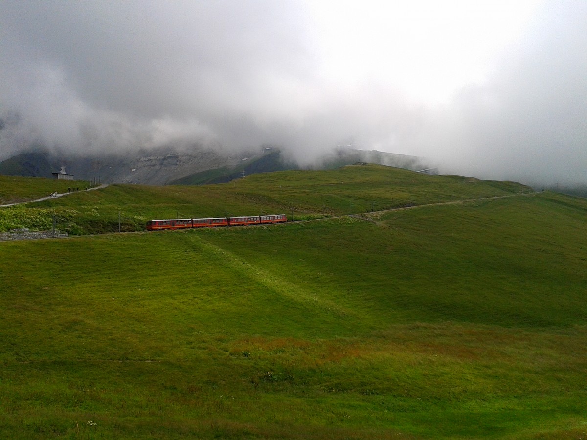 Eine Doppeltraktion BDhe 4/8 als R 561 (Kleine Scheidegg - Jungfraujoch) am 23.7.2015 nahe Kleine Scheidegg.