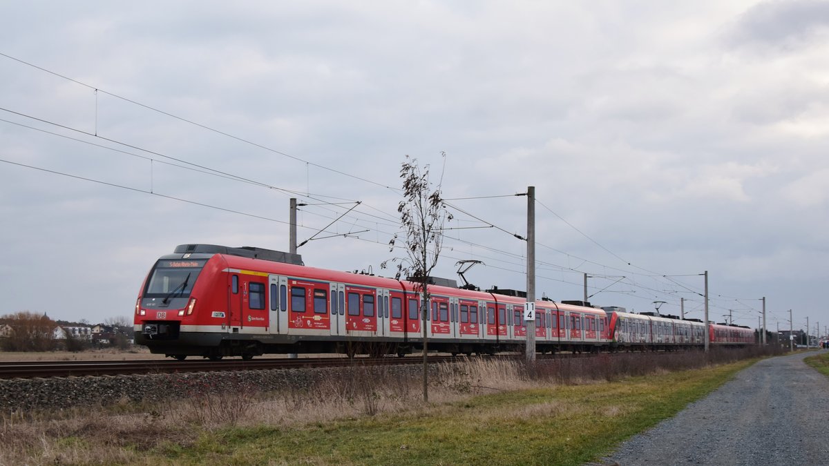 Eine Dreifachtraktion aller damaliger Typen von Werbebahnen der S-Bahn Rhein Main als Leerfahrt Richtung Obertshausen zwischen Rogdau Hainhausen und Weißkirchen. Aufgenommen am 3.2.2019 16:20