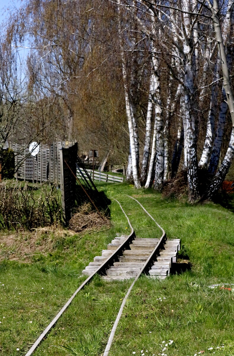 Eine einfache Feldbahbrücke findet sich in Glossen. 17.04.2022, 12:19 Uhr.

