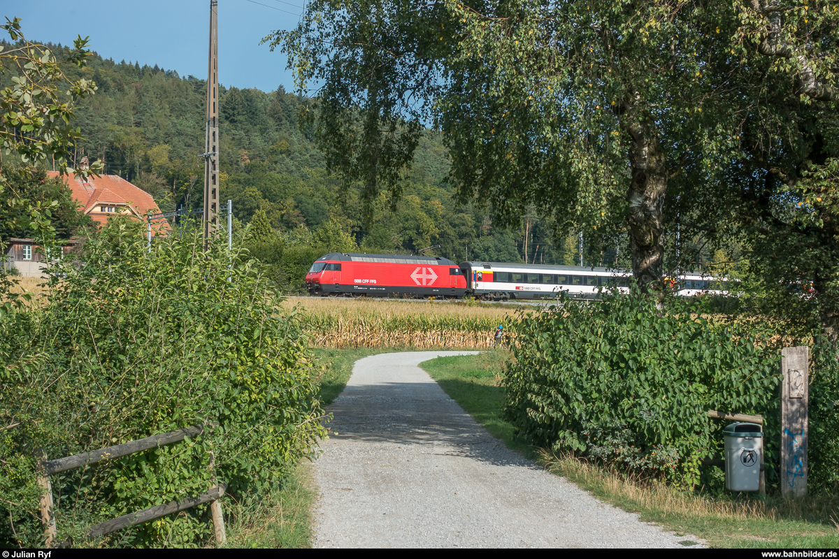 Eine erst kürzlich revidierte Re 460 fährt am 29. August 2018 mit einem IC zwischen Gümligen und Ostermundigen Richtung Bern - Basel.