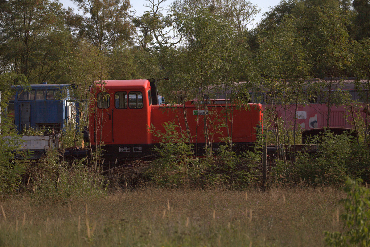Eine farbenfrohe V60 (Hier Waldbahnlok) versteckt sich auf dem Gelände der WISAG in Brieske, denn nicht das komplette Werksgelände wurde freigeschnitten.Teleaufnahme.
16.09.2018 15:54 Uhr.