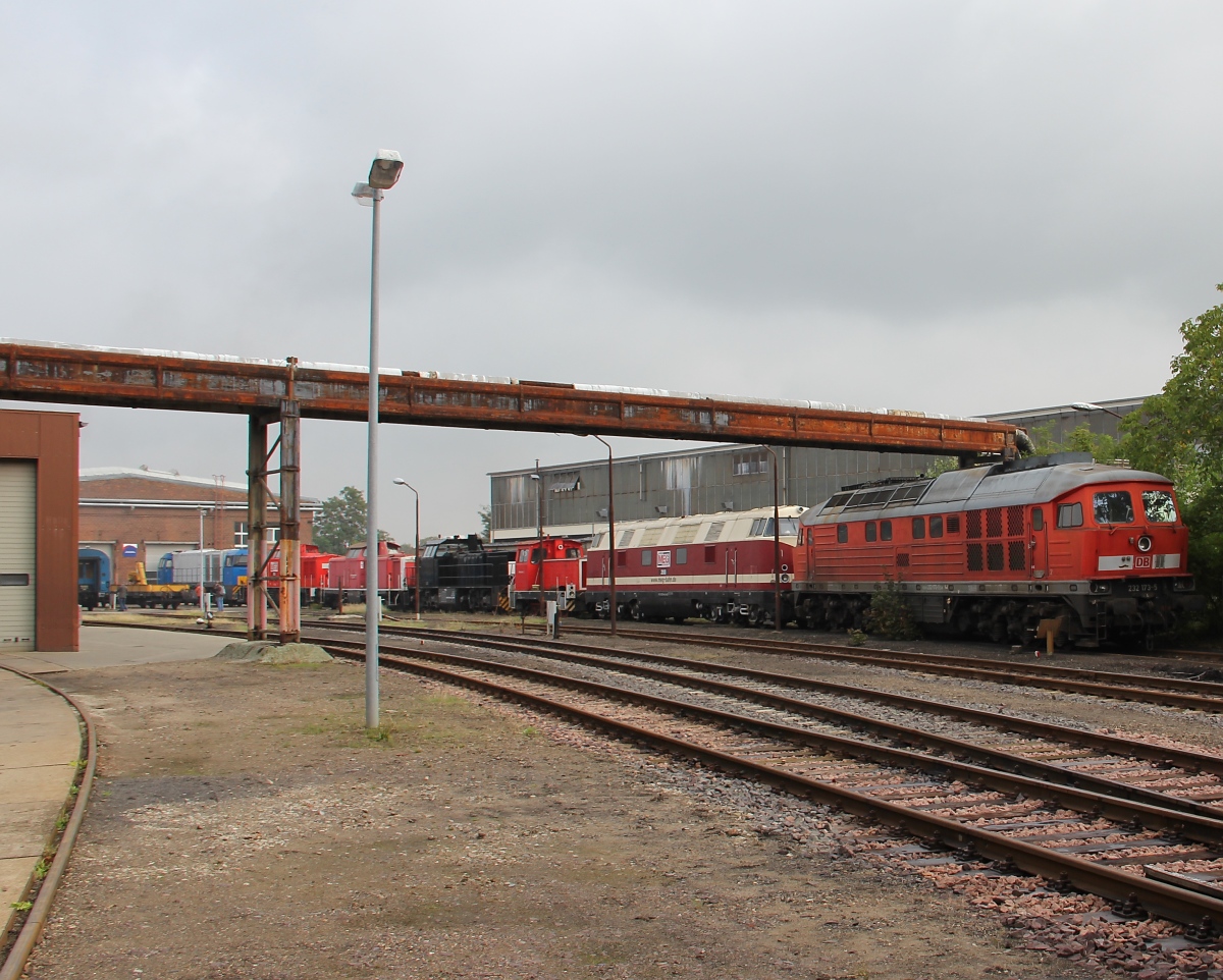 Eine ganze Reihe unterschiedlichster Loktypen abgestellt im Außengelände des Bahnbetriebswerks. Aufgenommen am Tag der offenen Tür im Bahnbetriebswerk Stendal am 21.09.2013.