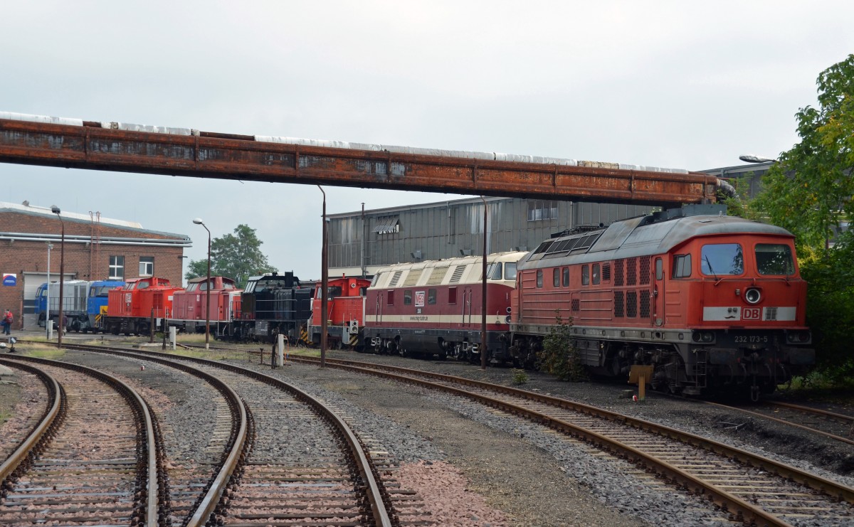 Eine lange Schlange abgestellter Loks stand am 21.09.13 vor einer der Hallen im Alstom-Werk Stendal. 