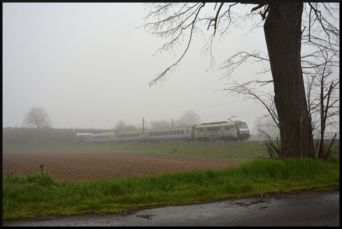 Eine Maschine der Baureihe BB 26000 Sybic taucht am 30.03.2024 bei Ostheim (Oschta) im Elsass mit einem TER-Zug von Basel (SNCF) nach Straßburg aus dem Nebel auf.