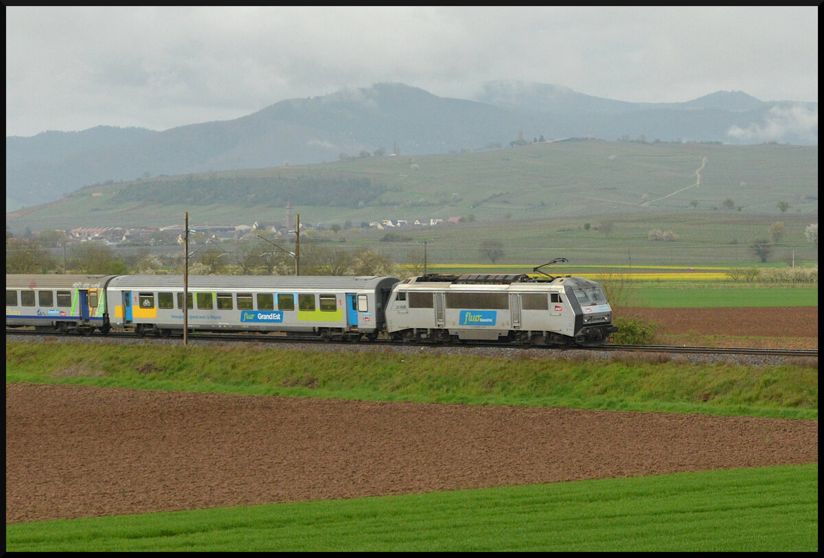 Eine Mehrsystemmaschine der Baureihe BB 26000 Sybic befördert am Ostersonntag, 31.03.2024, bei Ostheim (Oschta) im Elsass einen TER-Zug von Basel SNCF nach Straßburg. Die Lokomotive und der erste Waggon sind im neuen Design der Region Grand Est gestaltet: schlichtes Grau. 