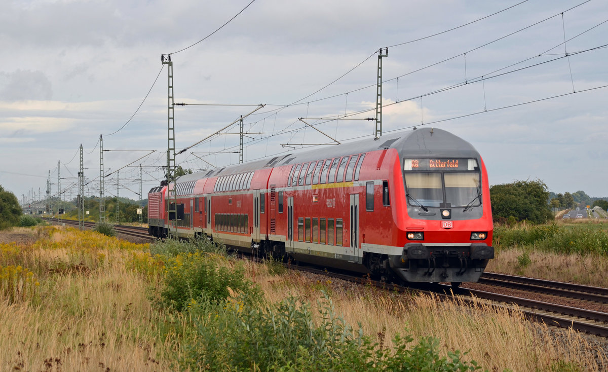 Eine RB aus Wittenberg nach Bitterfeld, geschoben von 143 926, erreicht am 04.09.16 in Kürze den Haltepunkt Gräfenhainichen. 