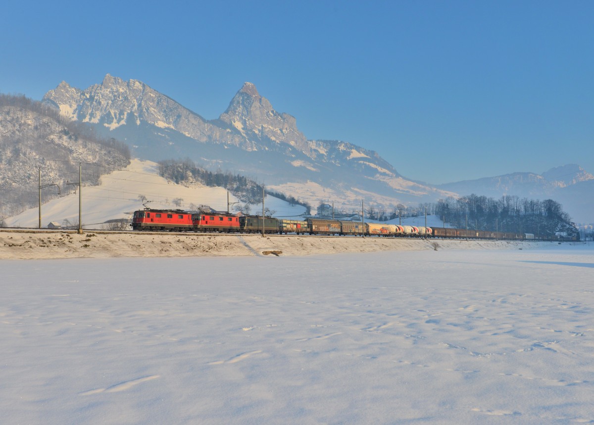 Eine Re 12/12 mit einem Güterzug am 11.02.2015 bei Steinen.