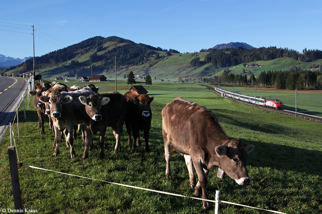 Eine Re 446 mit VAE 2417 am 18.10.2014 bei Altmatt.