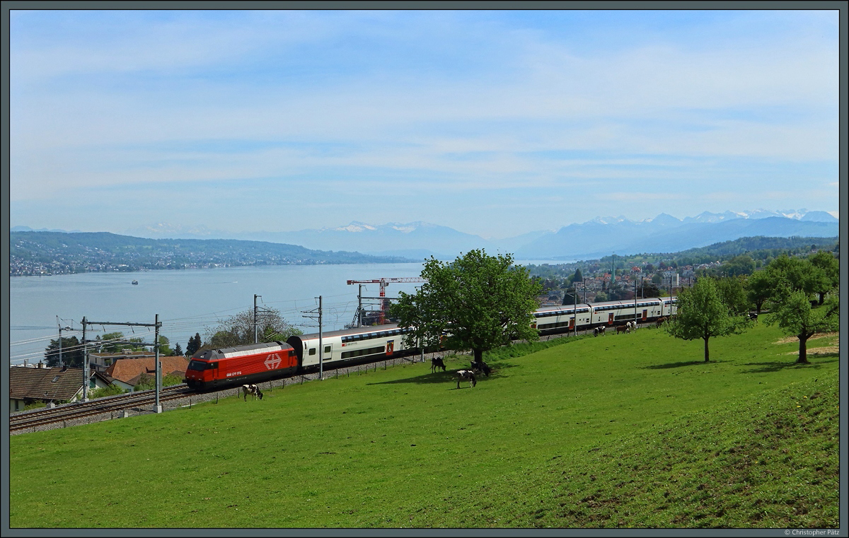 Eine Re 460 mit einem IC 2000 rollt am 29.04.2022 durch Horgen Oberdorf Richtung Zürich.