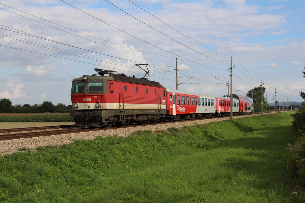 Eine recht interessante Zugbildung hatte am 19.8.2021 der REX2120 von Wien Franz-Josefs-Bahnhof nach Sigmundsherberg.
Kurz vor Absdorf-Hippersdorf fährt die 1144 246 mit zwei 21-73 (kleiner Wendezug) und einem 26-33 (Doppelstock) ihrem Ziel entgegen.