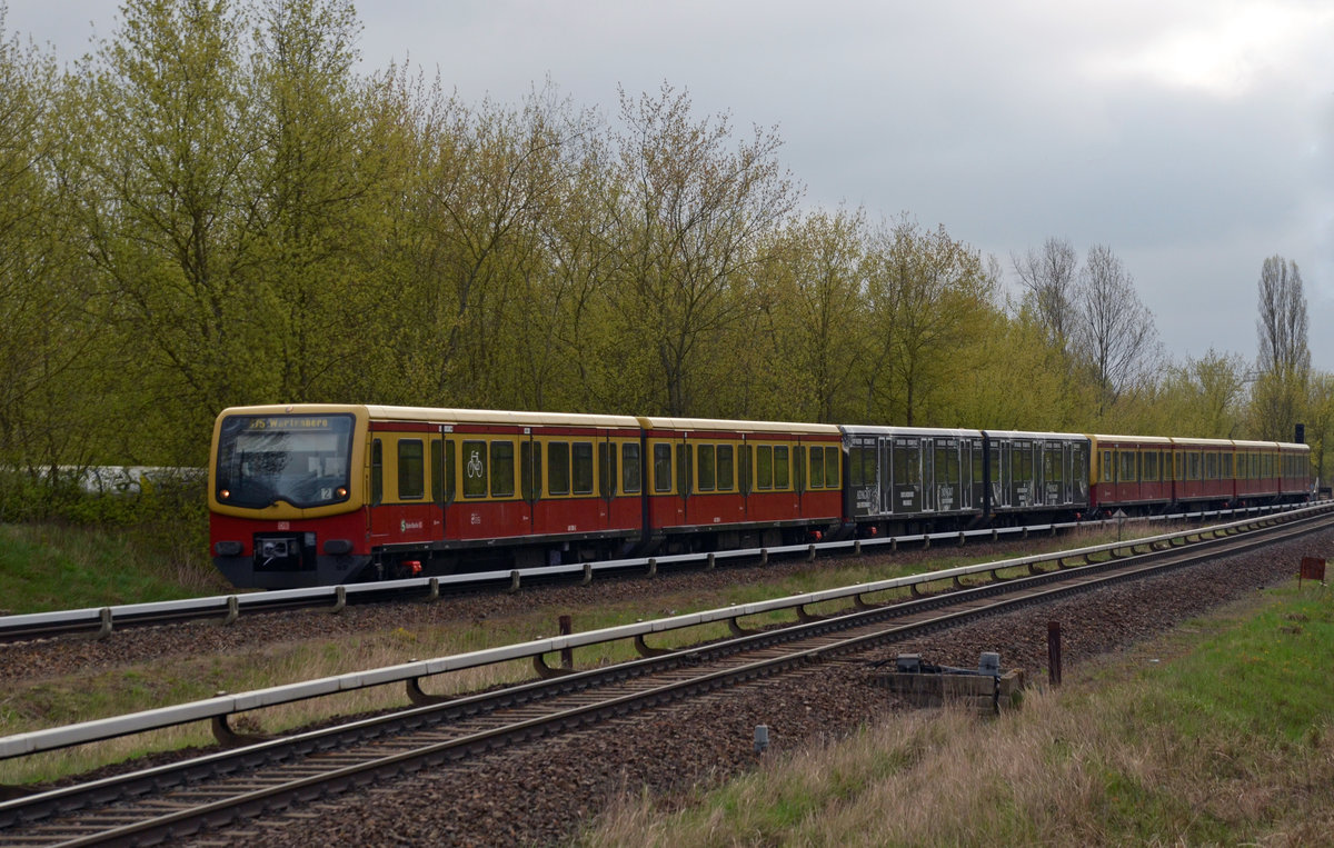 Eine S-Bahn nach Wartenberg erreicht am Morgen des 08.04.17 Hohenschönhausen. Die Werbeeinheit für den Club Adagio hing leider an zweiter Stelle.