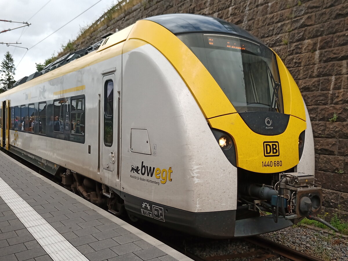 Eine SBahn der Linie S1 in Seebrugg. Bild vom 20.08.2022