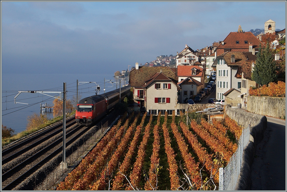 Eine SBB Re 460 fährt mit ihrem IR Richtung Brig durchs herbstliche  St-Saphorin im Lavaux.
22. Nov. 2014