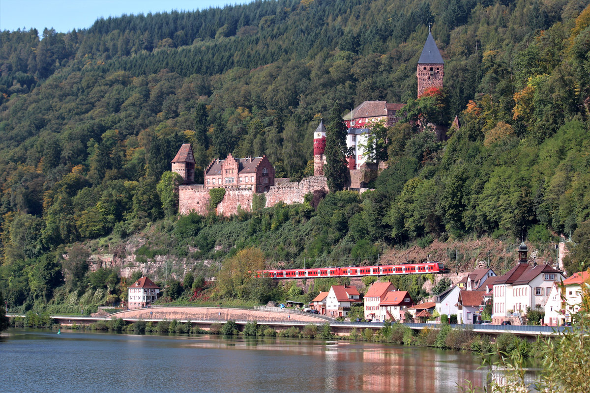 Eine der schönsten Fotostelen entlang der Neckartalbahn ist die weite Kurve bei Zwingenberg. Am 28.09.2017 ist eine Doppeltraktion BR 425 der S-Bahn RheinNeckar auf dem Weg nach Homburg.