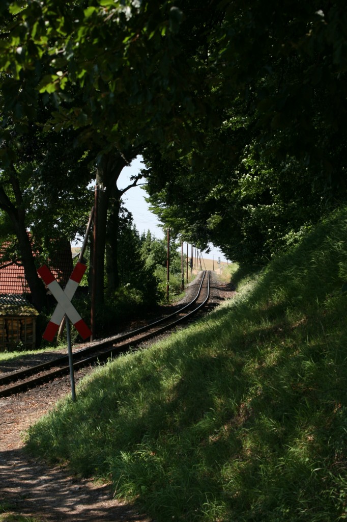 Eine der schönsten Streckenabschnitte des Rasenden Rolands ist zwischen Seelvitz und Serams.07.09.2014 11:38 Uhr
  