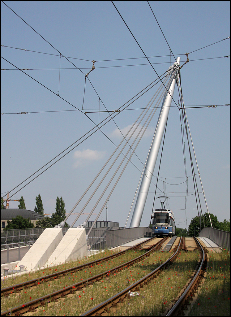 Eine Schrägseilbrücke für die Tram -

Für die 2009 fertiggestellte Straßenbahnstrecke von der Münchner Freiheit nach Schwabing Nord musste eine eigene Brücke über den Mittleren Ring gebaut werden. Die  Schenkendorfbrücke, eine Schrägseilbrücke, ist 84 Meter lang und dient auch Fußgänger und Radfahrer.

München, 26.06.2019 (M)