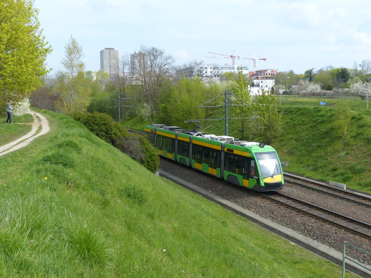 Eine Solaris Tramino erreicht die Station Lechicka / Poznań Plaza. 1.5.2016