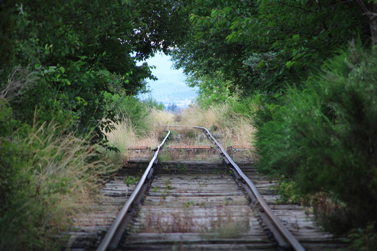 Eine Strecke wie im Dornröschenschlaf:  La ligne du Puy à Langogne  verband einst Le Puy-en-Velay mit Langogne. In Langogne bestand dann Anschluss an die Cevennenbahn (Clermont-Ferrand - Nimes). Doch Züge fahren hier schon lange nicht mehr. Nur gelegentlich rollen ein paar Draisinen über diese Strecke. Unterwegs mit der Draisine zwischen Landos und Pradelles mit Fahrtrichtung Langogne.
Pradelles, 13. Juli 2016