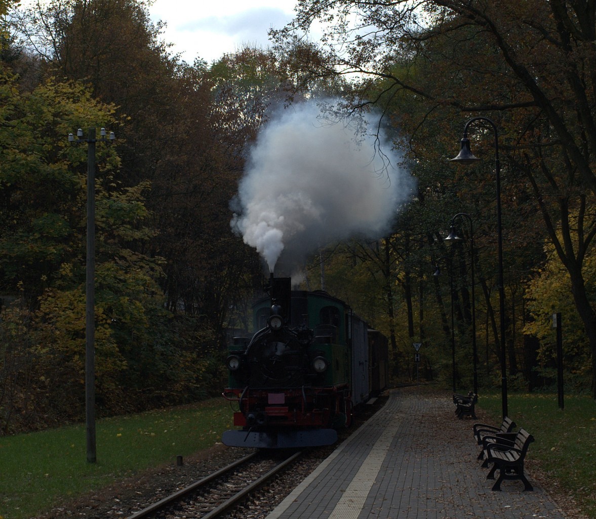 Eine typische Meyer-Lok bei der Einfahrt in den Haltepunkt  Lnitzgrund am 26.10.2013  um 09:52 Uhr. Sei befrdert den Teddybren Zug nach Moritzburg.