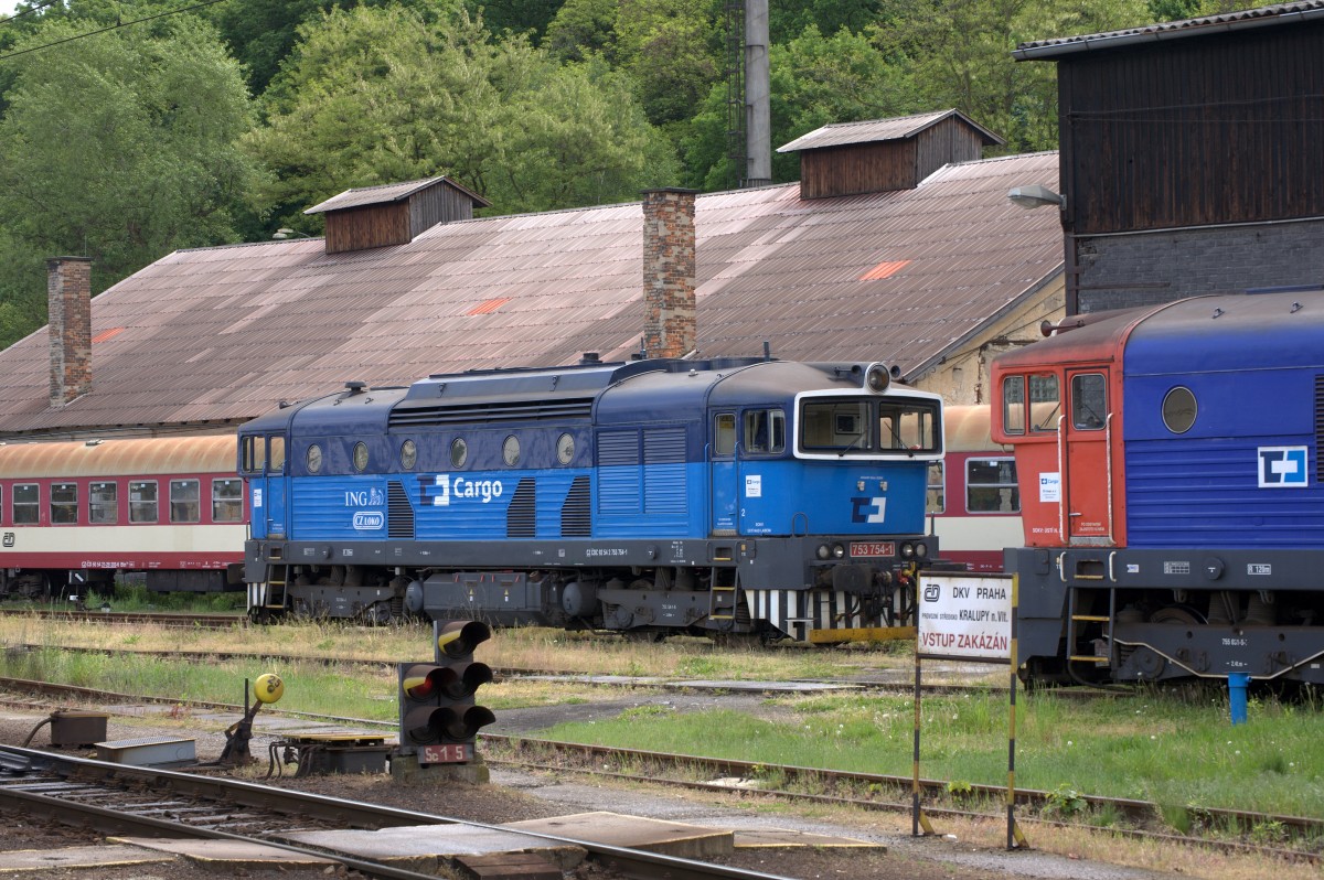 Eine typische  Taucherbrille  753 754-1 in Kralupy am 13.05.2014 12:53 Uhr.