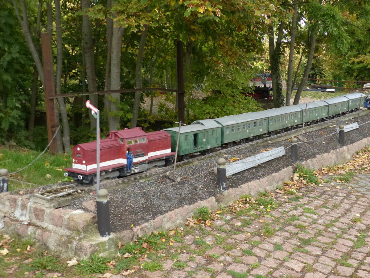 Eine V 100 mit Personenzug als 1:10 Steinmodell, am 28.09.2019 am ehemaligen Bahnhof Gerbstedt.