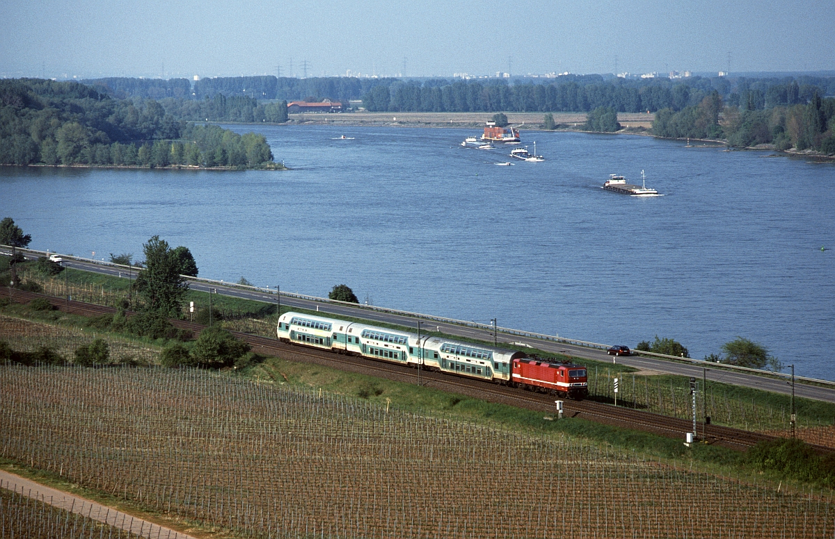 Eine völlig andere Charakteristik als das tief eingeschnittene mittlere Rheintal hat die Gegend zwischen Nackenheim und Nierstein. Im Sommer 1997 schiebt eine unbekannte 143 im original Reichsbahnlook eine mint-farbene (böse Zungen sprechen auch von  Sanitärfarbe ) Dosto-Garnitur in Richtung Mainz.