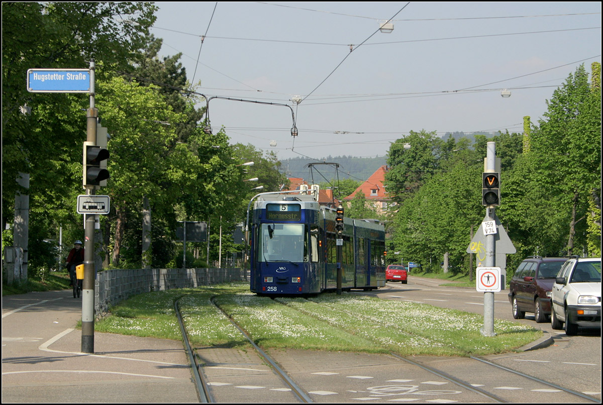 Eine weiträumig verlegte Trasse in Freiburg -

Nördlich der Haltestelle 'Friedrich-Ebert-Platz' wird wieder die ursprüngliche Trassenführung erreicht. Auch ca. 100 Meter wurden hier in die Gleise noch auf einen eigenen Bahnkörper verlegt, bis sie auf die ursprüngliche Gleiselage in der Straßenmitte der Heiliggeiststraße einschwenken.

Im weiteren Verlauf der Strecke in Richtung Endstelle Hornusstraße wird es demnächst eine weitere Trassenverlegung in Bau gehen: Die Straßenbahn wird aus der Komturstraße herausgenommen und auf die parallel verlaufende Waldkircher Straße verlegt werden. Dort wird ein Rasenbahnkörper in Mittellage erstellt. Die neue Strecke rückt dann auch näher an das Entwicklungsgebiet Güterbahnhofareal.

11.05.2006 (M)