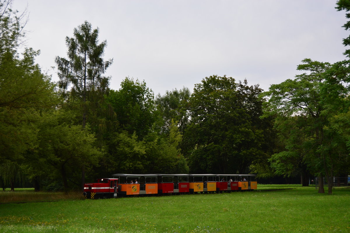 Eine der weniger bekannten aber ebenso schönen Parkbahnen ist die Bernburger Parkeisenbahn. Seit dem 1.6.1969 fährt hier der Zug täglich von 10 bis 18 Uhr die 1,8 Kilometer lange Strecke. Der Fuhrpar ist recht übersichtlich mit 1 SCHÖMA-Kleinlokomotive CHL 40G, Baujahr 1997 mit 52 kW / 71 PS 1 Grubenlokomotive, Baujahr 1958, original Typ Skoda, 1991/92 auf Antriebsmotor Typ Mercedes umgebaut 5 Überdachte Personenwagons auf 4 Achsen in 2 Drehgestellen für je 20 Personen.
Hier durchfährt der Pendelzug von Rosenhag nach Paradies den Bernburger Park.

Bernburg 03.08.2017