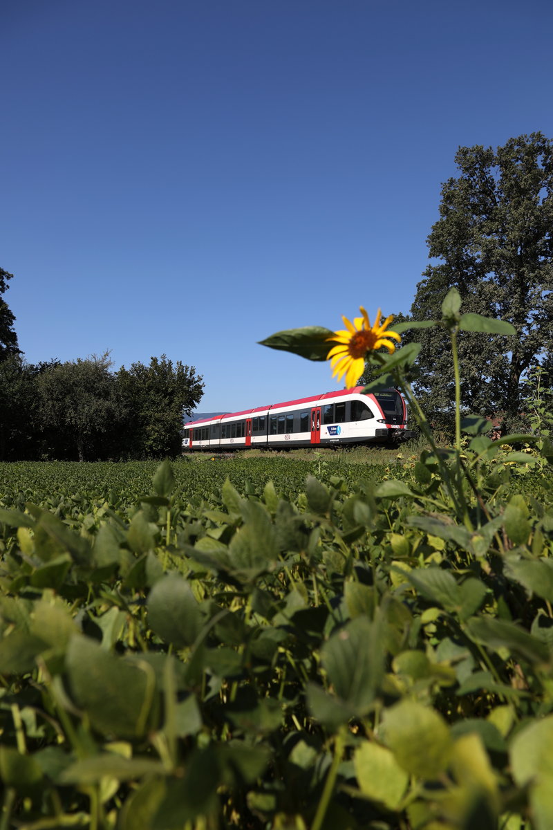 Einen Wunderbar Sonnigen Feiertag ! 
15.08.2017 bei Wies 