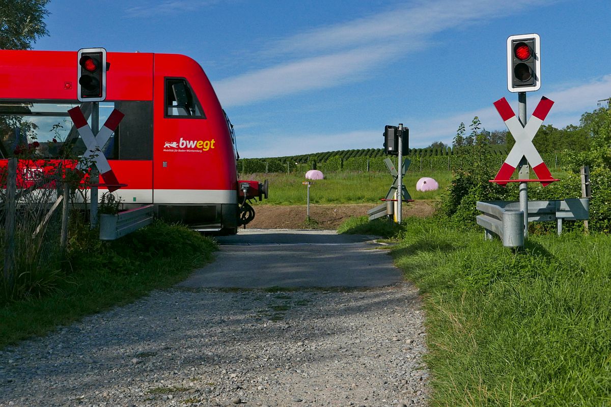 Einer von zwei Bahnübergängen unterhalb der Wallfahrtskirche Birnau und ein RegioShuttle, das gewollt ins Bild fährt (16.08.2019).
