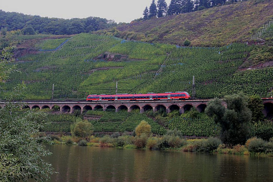 Eines der imposantesten Bauwerke an der Moselbahnstrecke ist der Pndericher Viadukt. Das Bauwerk fhrt durch die Weinberg entlang einer Moselschleife.
Am 8.10.2013 fotografierte ich dort einen der neuen Talent 2 Elektrotriebwagen der Baureihe 442 auf seiner Fahrt nach Trier.