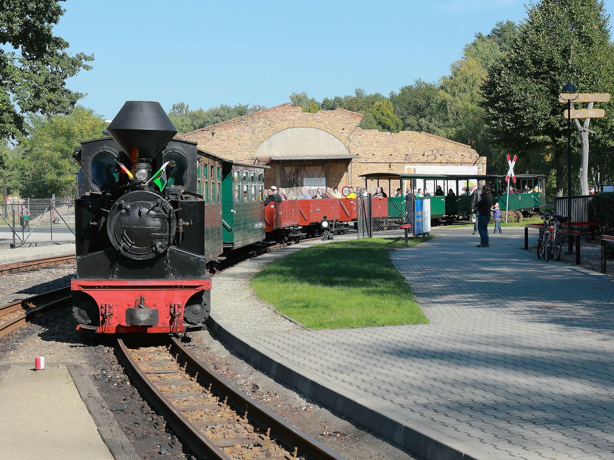 Einfahrt 99 3312 „Diana“ von Borsig, Baujahr 1912  - mit einem Personenzug aus Kromlau - in den Bahnhof Weißwasser am 03. Oktober 2015.