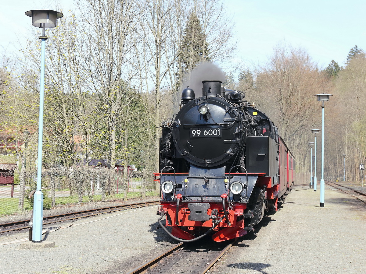 Einfahrt 99 6001 in den Bahnhof Alexisbad am 24. April 2015 als HSB 8965 
nach Hasselfelde 

