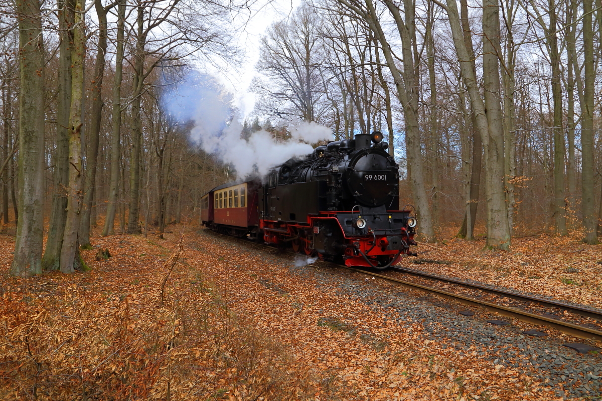 Einfahrt von 99 6001 mit P 8967 (Gernrode-Hasselfelde) am Nachmittag des 26.02.2017 in den Haltepunkt Sternhaus-Ramberg. (Bild 3)