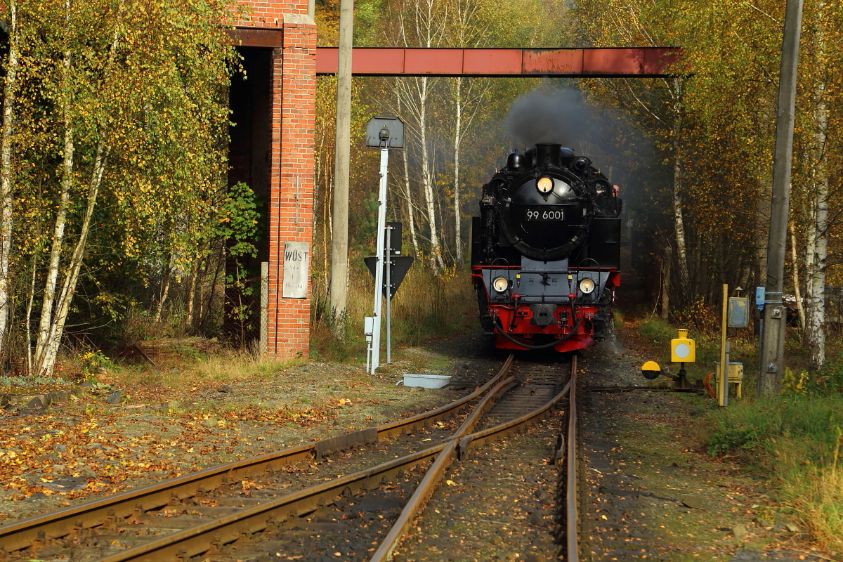 Einfahrt von 99 6001 mit P8965 (Gernrode-Hasselfelde) am 18.10.2014 in den Haltepunkt Silberhütte. Bild 1 (Aufnahme erfolgte aus offizieller Fotolinie im Rahmen einer Sonderzugveranstaltung!)