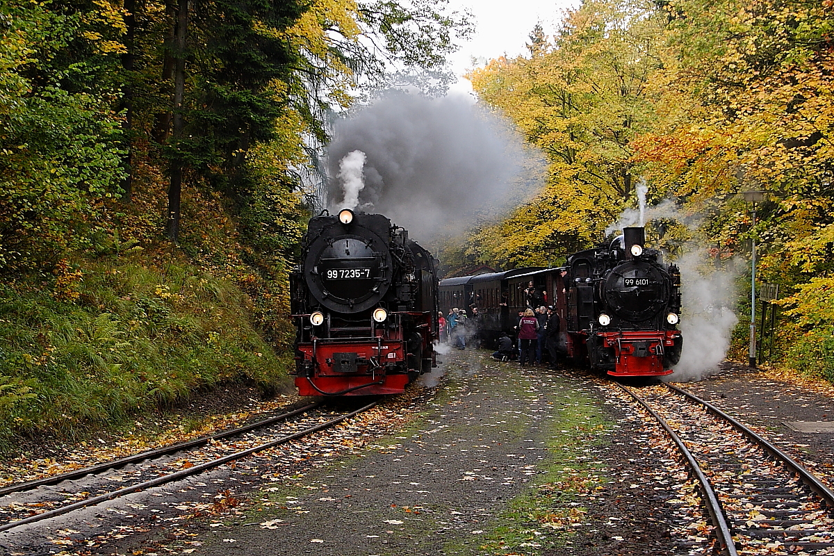 Einfahrt von 99 7235 mit P8931 zum Brocken am 19.10.2013 in den Haltepunkt  Steinerne Renne . Rechts wartet 99 6101 mit einem Sonderzug der IG HSB auf die Freigabe zur Weiterfahrt nach  Eisfelder Talmühle . Das wird allerdings noch ein Weilchen dauern, denn auch der Foto-Güterzug der HSB muß hier noch überholen!