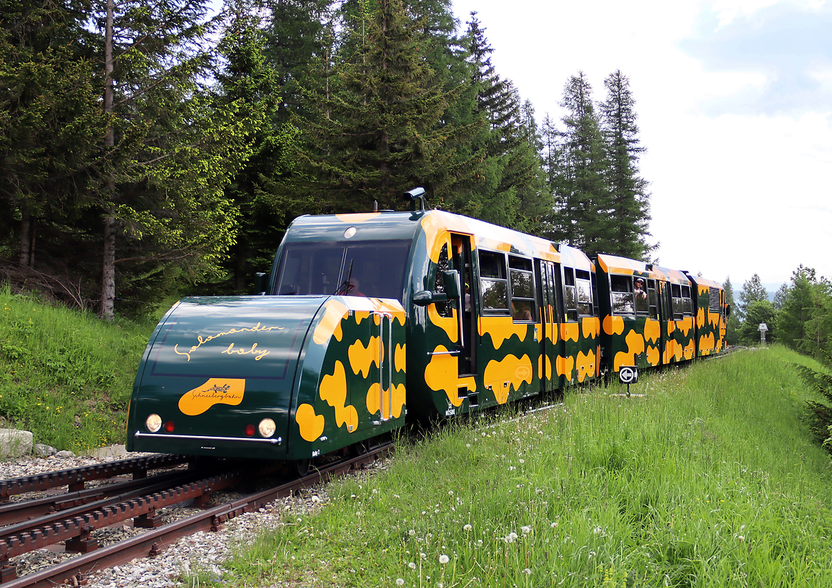 Einfahrt des 'Salamanders' in die Station Baumgartner. Gut zu sehen das 'Salamander-Baby' (für Gepäckstücke und Kinderwagen). Baumgartner, Puchberg am Schneeberg, 18.6.2023