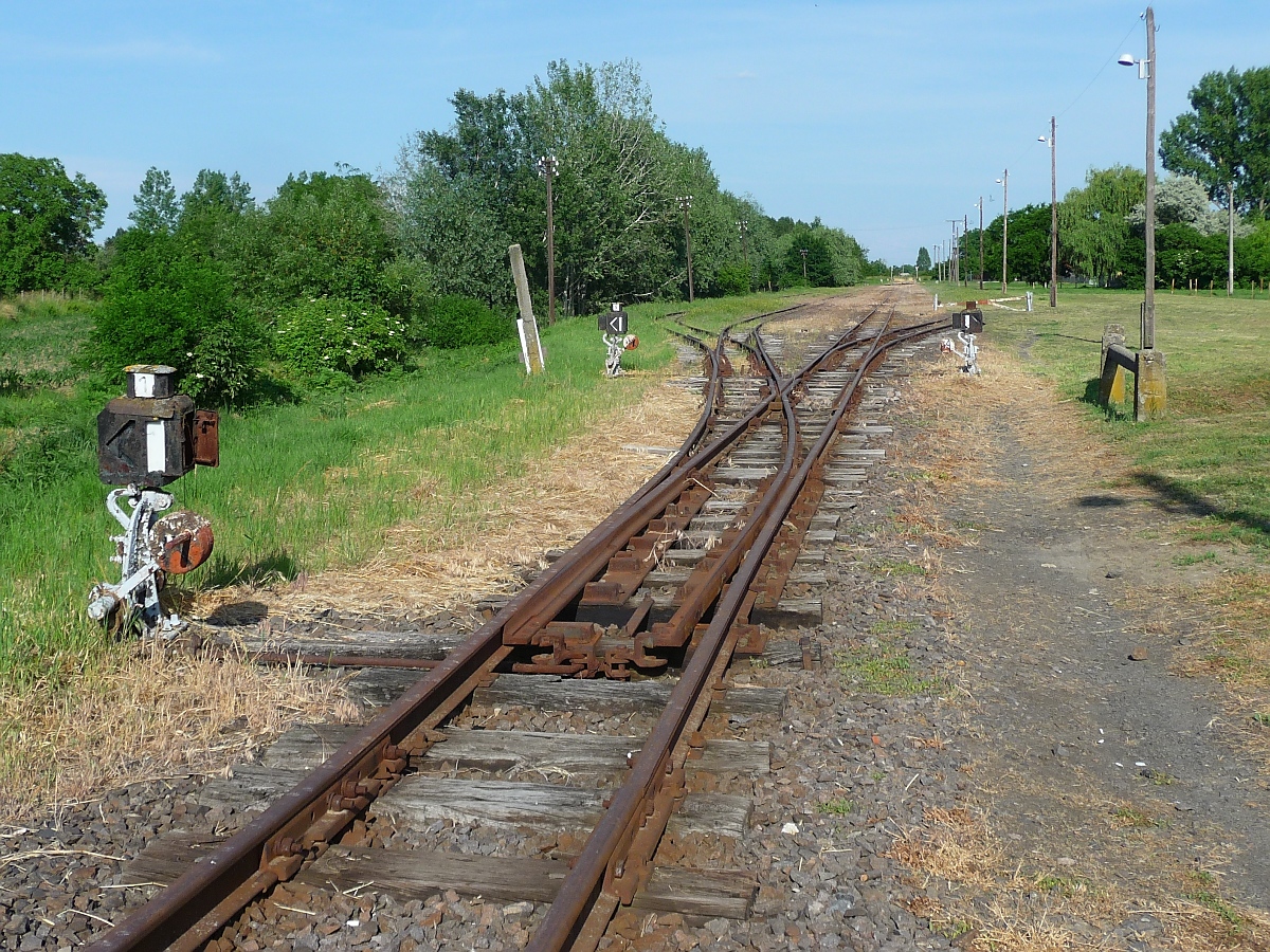 Einfahrt in die Station Tiszabercel der 2009 stillgelegten Schmalspurstrecke von Nyiregyhaza nach Dombrad und Balsa, 29. ‎Mai ‎2016 