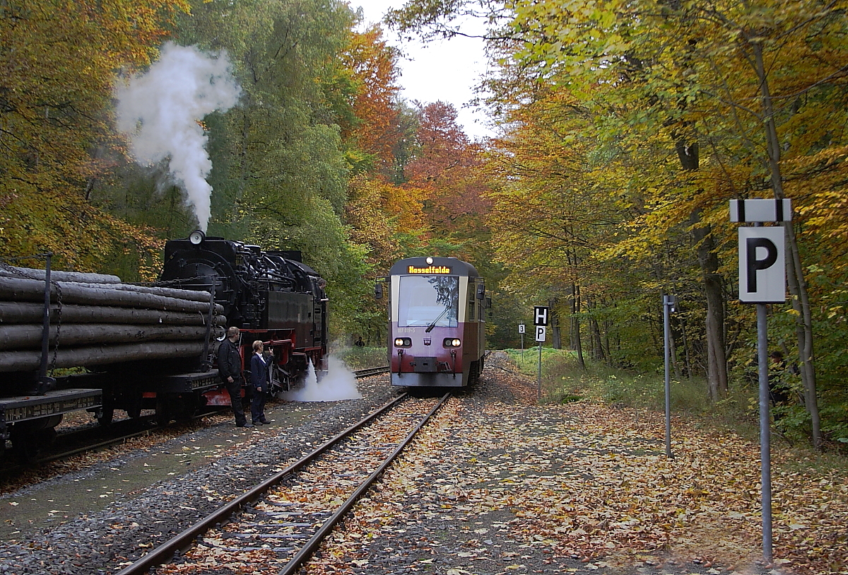 Einfahrt von Triebwagen 187 019 als P8973, aus Quedlinburg kommend und unterwegs nach Hasselfelde, am Nachmittag des 20.10.2013 in den Haltepunkt Sternhaus Ramberg. Links wartet ein Sonder-PmG der IG HSB auf die Freigabe zur Weiterfahrt nach Gernrode.