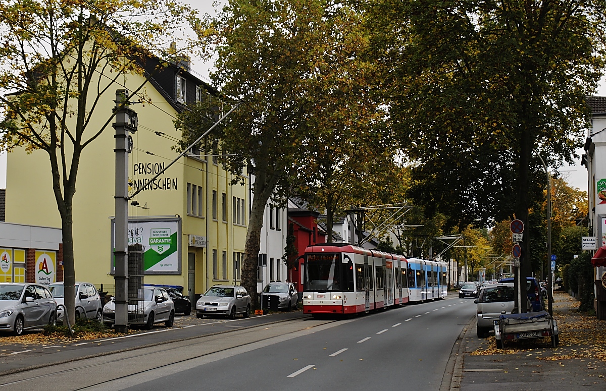 Eingleisig fährt die U 43 durch Dortmund-Wickede, am 15.10.2019 sind hier der NGT8 23 und ein weiterer NGT8 auf dem Wickeder Hellweg unterwegs