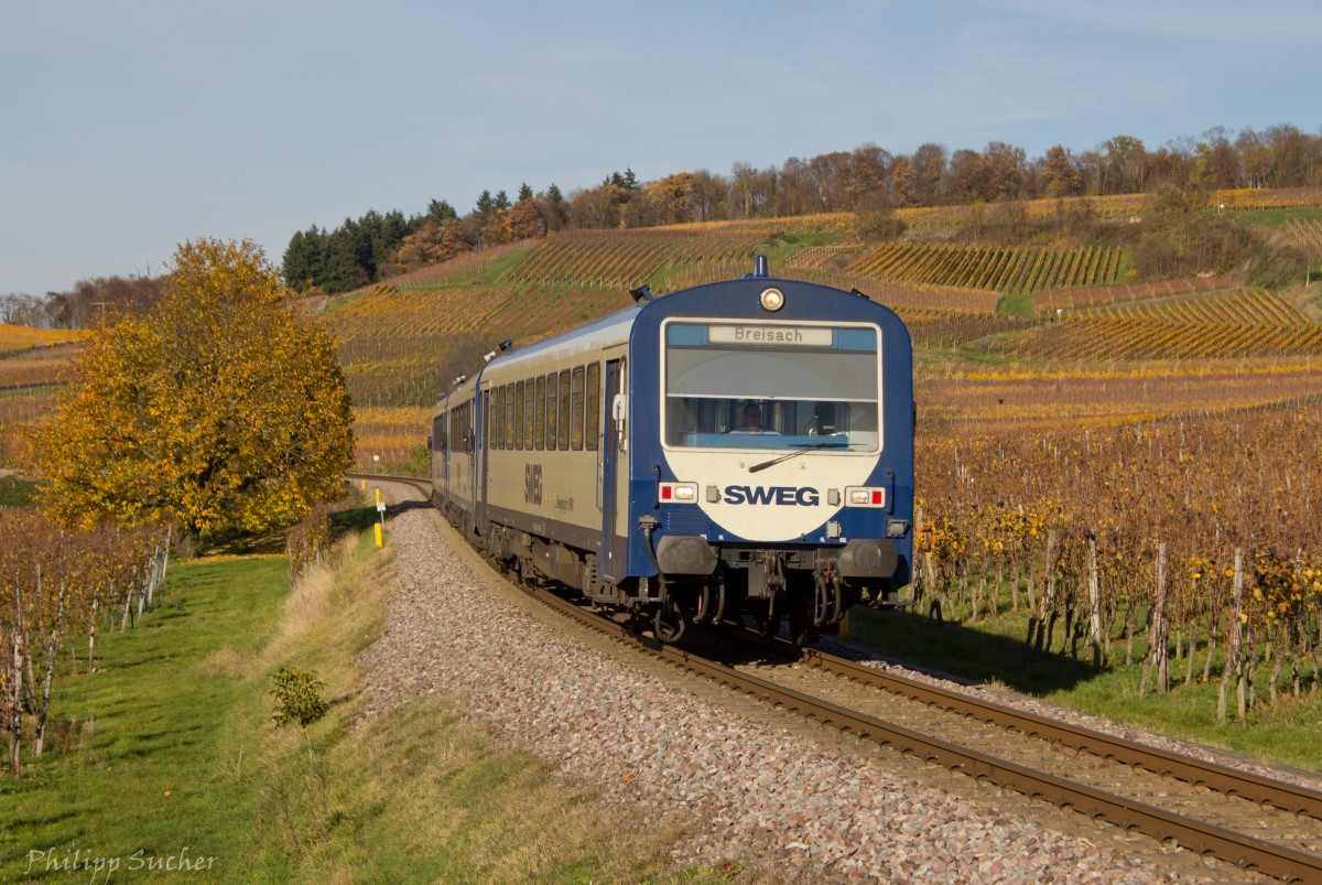 Einige wenige Blätter hängen noch in den Weinbergen bei Burkheim, durch die sich das NE81-3er-Gespann, bestehend aus VS 200, VT 128 und 129 der SWEG, am 10.11.2015 hindurchschlängelt.